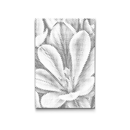 M2_Dotting_Points_-_Crocus_flower
