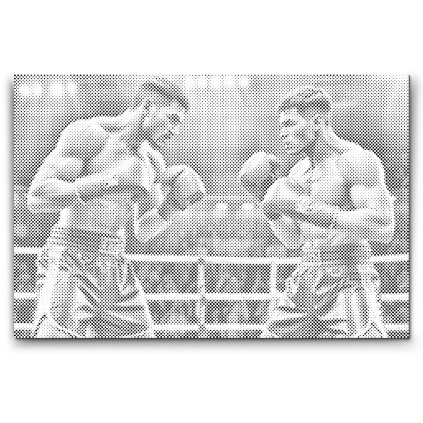 M2_Dotting_Points_-_Boxers_during_a_match