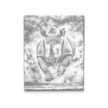 M2_Dotting_Points_-_Wild_rhinoceros