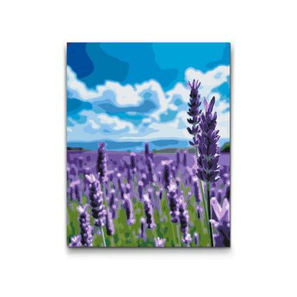 M2_Painting_by_Numbers_-_Lavender_in_the_field