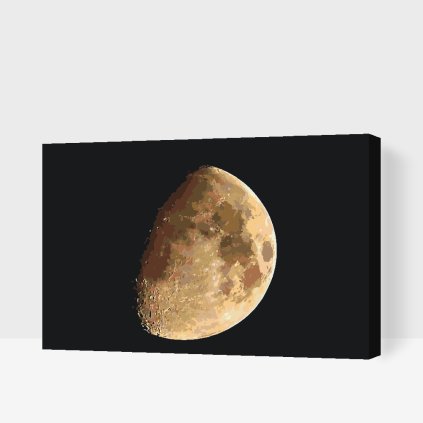 Paint by Number - Night Moon