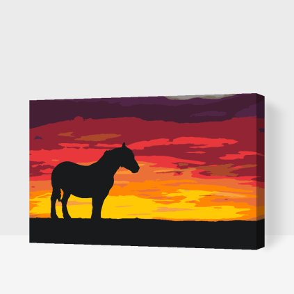 Paint by Number - War Horse