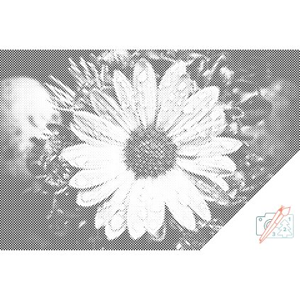 Dotting points - Drops on Flower