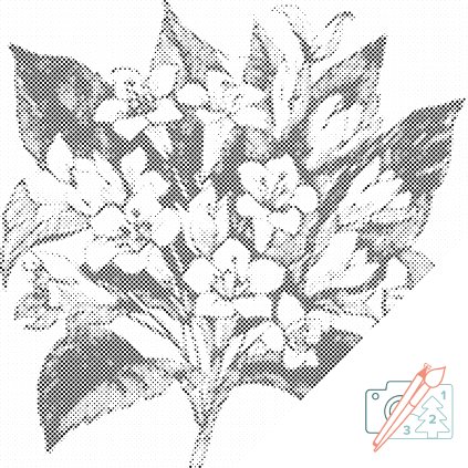 Dotting points - Bunch of Flowers