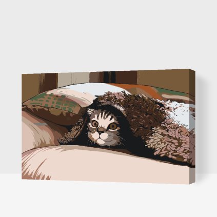 Paint by Number - Kitty under the Pillow