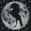 Paint by Number - Silhouette of a Horse on the Moon