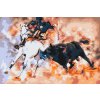 Paint by Number - Bullfighting
