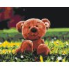 Paint by Number - Bear in Grass