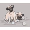 Paint by Number - Pugs with little balls