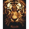 Paint by Number - Tiger in Lights