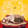 Paint by Number - Dreaming Kitty