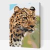 Paint by Number - Leopard Hunting View