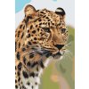 Paint by Number - Leopard Hunting View