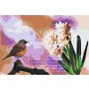 Paint by Number - Hyacinth and Bird