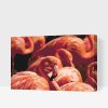 Paint by Number - Flamingos 2