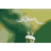 Paint by Number - Dandelion