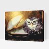 Paint by Number - Wise Owl