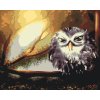 Paint by Number - Wise Owl