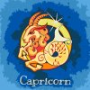 Paint by Number - Capricorn
