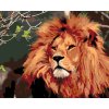 Paint by Number - Lion