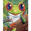 Paint by Number - Little Frog