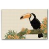 Diamond Painting - Tucan on a Tree Branch 