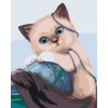 Paint by Number - Kitty playing with a Ball