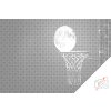 Dotting points - Basketball Full Moon