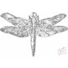 Dotting points - Dragonfly