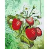 Paint by Number - Strawberry Season