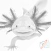 Dotting points - Axolotl 3 
