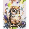 Malování podle čísel - Sovička s barevným pozadím
