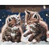 Malování podle čísel - Koťata ve sněhu