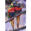Paint by Number - Rainbow Parrots
