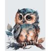 Malování podle čísel - Sova s velkýma očima