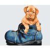 Paint by Number - Puppy in a Shoe