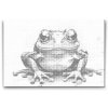 M2_Dotting_Points_-_Cheerful_Frog