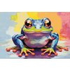 M11_Diamond_Paintings_-_Cheerful_Frog