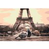 Paint by Number - Pigeons in Paris