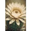 M11_Diamond_Paintings_-_Cactus_flower