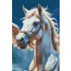 M11_Diamond_Paintings_-_White_Pegasus_in_the_clouds