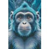 M11_Diamond_Paintings_-_Monkey_in_shades_of_dark_turquoise