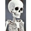 M11_Diamond_Paintings_-_Skeleton