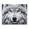 M2_Painting_by_Numbers_-_Snowy_wolf