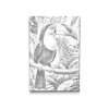 M2_Dotting_Points_-_Toucan