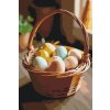 M11_Painting_by_Numbers_-_Basket_full_of_eggs