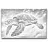 M2_Dotting_Points_-_Rainbow_turtle