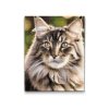 M2_Diamond_Paintings_-_Maine_Coon_cat