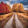 M11_Painting_by_Numbers_-_Field_Track_in_Autumn