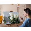 M9_Diamond_Paintings_-_White_Tulips